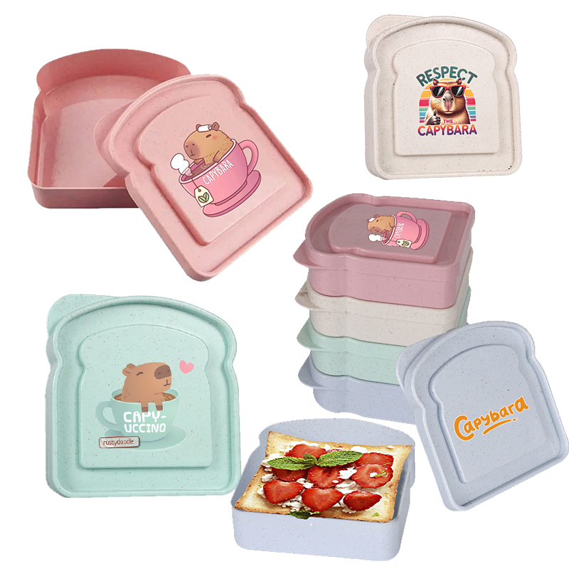Food Storage With Dividers - Capybara Sandwich Voedselopbergdoos Container Salade Fruit