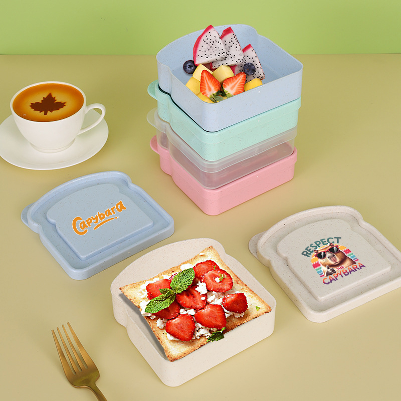 Capybara Sandwich Voedselopber - Food Storage With Dividers recensie en prijs